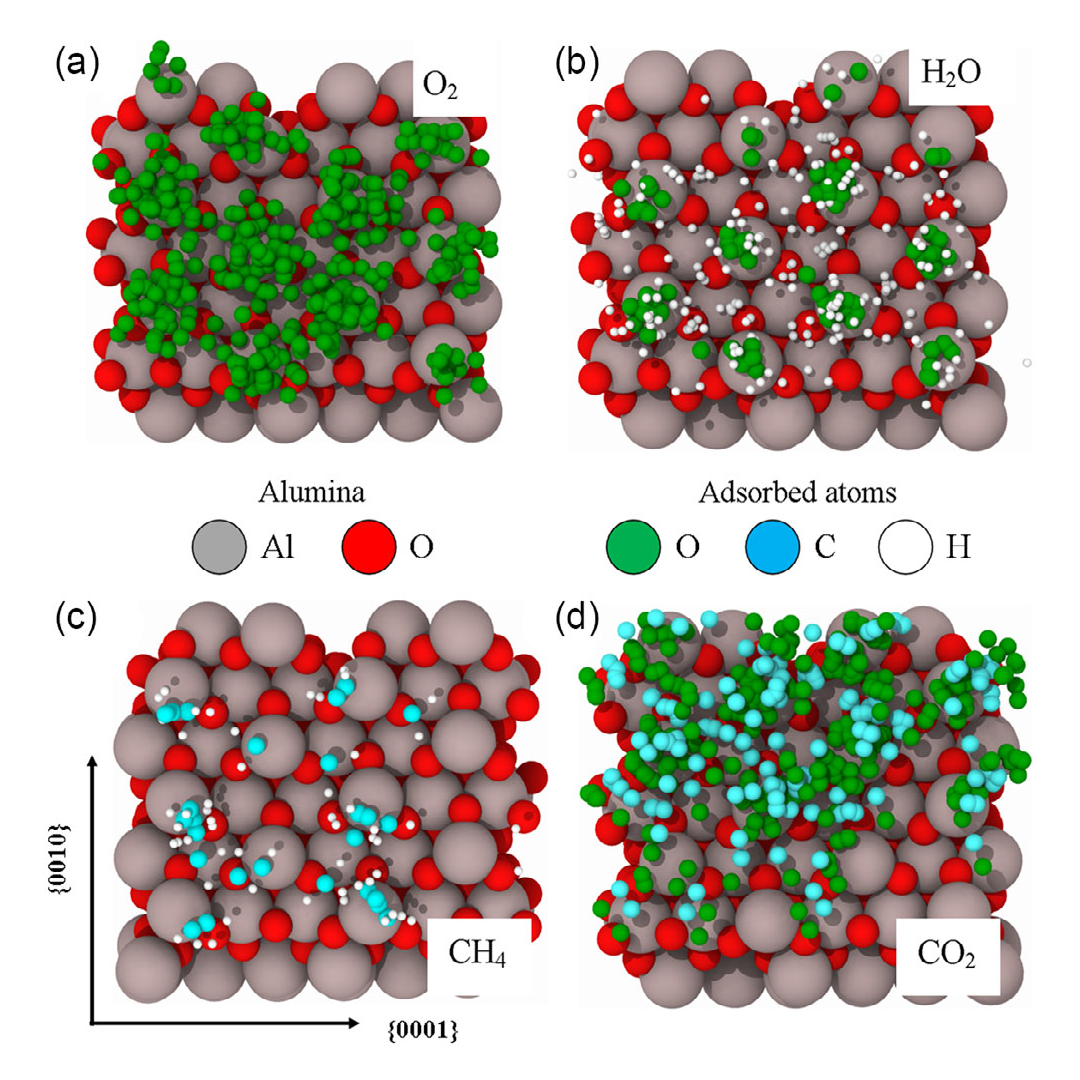 Pozycje adsorbcji badanych cząsteczek: a) tlenu, b) wody, c) metanu i d) dwutlenku węgla. Widoczny jest fakt, że adsorbcja częściej występuje na atomach glinu (szare). Źródło: https://doi.org/10.1002/pssb.202200567