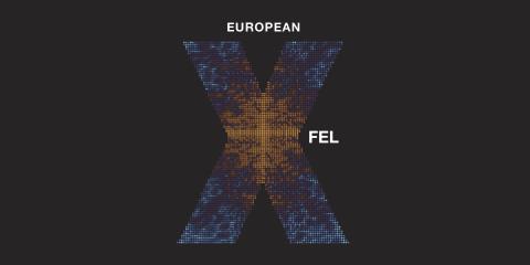 XFEL XFEL