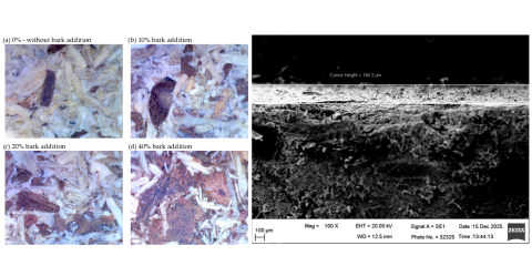 Zdjęcie powierzchni płyt przed połączeniem z laminatem (lewa strona) oraz przekrój połączenia (prawa strona) wykonane w NCBJ za pomocą skaningowej mikroskopii elektronowej SEM