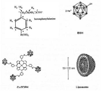 Struktura chemiczna BPA oraz BSH i CuTCPH oraz liposom z borem [Rolf F. Barth et al., Neurosurgery 44 (3), 433 (1999)].