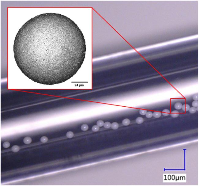 Mikrosfery Y2O3 przygotowane metodą sol-gel umieszczono w kwarcowej kapilarze. Pokazano pojedynczą mikrosferę Y2O3 przygotowaną metodą sol-gel, powiększenie 150x.