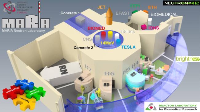 Grafika poglądowa: reaktor MARIA wraz z obecnymi i planowanymi stanowiskami badawczymi