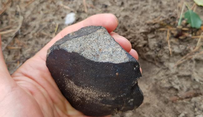Meteoryt spod Antonina tuż po znalezieniu. (Foto: K. Kmieciak)